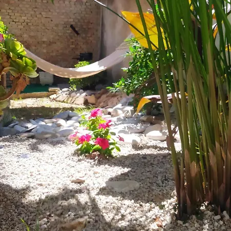 Il Giardino Degli Ulivi House Holiday home *